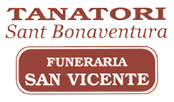 San Vicente logo